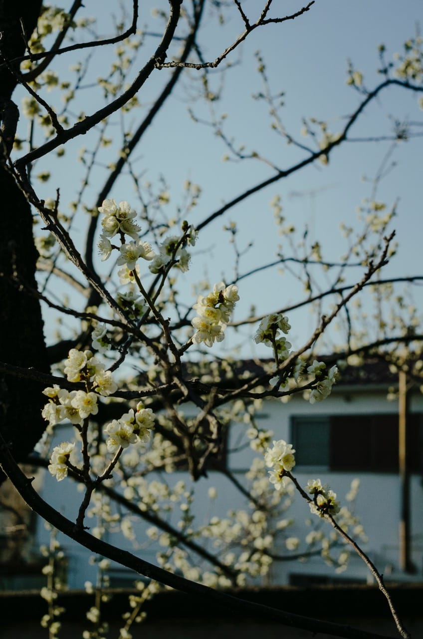 Превью Tokyo 2024